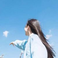 秦先生今天表白了嗎