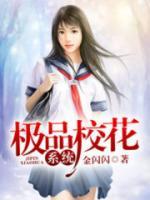 極品?；ㄏ到y(tǒng)