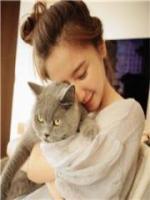 婚久情深：總裁太寵妻