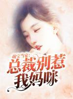 萌寶當(dāng)家：總裁別惹我媽咪