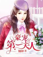 豪寵第一夫人