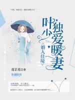 婚入佳境，葉少獨(dú)愛(ài)暖妻