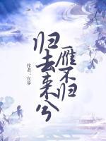 歸去來(lái)兮雁不歸