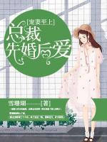 寵妻至上：總裁先婚后愛