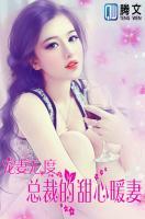 寵妻無(wú)度：總裁的甜心暖妻