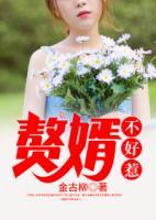 贅婿不好惹