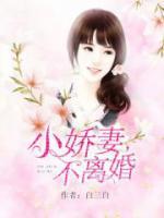 小嬌妻，不離婚