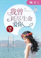 我曾耗盡生命愛你