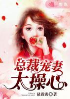 總裁寵妻太操心