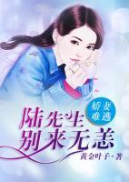 嬌妻難逃：陸先生，別來(lái)無(wú)恙