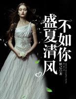 盛夏清風不如你