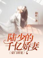 豪門溺寵：陸少的千億嬌妻