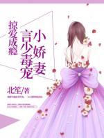 掠愛成癮：言少毒寵小嬌妻