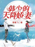 韓少的天降嬌妻