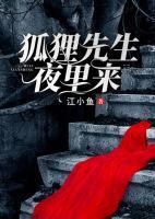 狐貍先生，夜里來