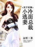 束手就擒：冷面總裁小逃妻