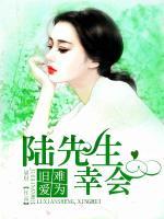 舊愛(ài)難為：陸先生，幸會(huì)