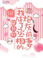 穿書(shū)后我成了丞相的炮灰前妻
