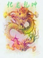化龍乾坤