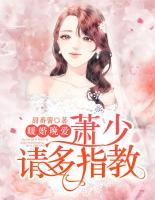 暖婚晚愛：蕭少，請多指教