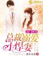 豪門婚寵：總裁溺愛小悍妻