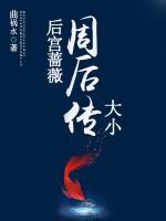 后宮薔薇：大小周后傳