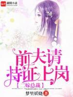 二嫁總裁：前夫，請持證上崗