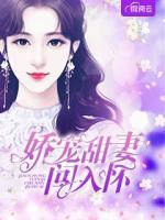 嬌寵甜妻闖入懷