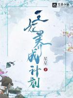 王妃養(yǎng)成計劃