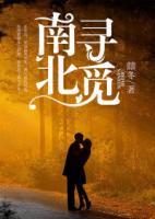 南尋北覓