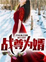 戰(zhàn)尊為婿