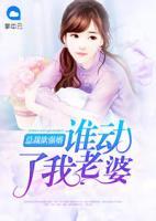 總裁欲強(qiáng)婚：誰動了我老婆