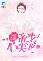 撩妻上癮，帝少心尖寵