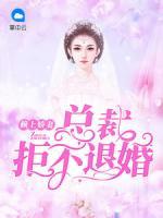 賴上嬌妻，總裁拒不退婚