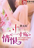 一寸情恨一寸殤