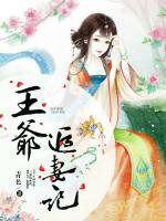 王爺追妻記