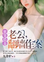 蜜寵嬌妻：老公，翻墻作案