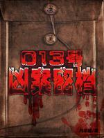 013號(hào)兇案密檔