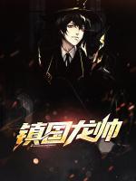 鎮(zhèn)國龍帥