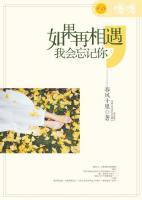 如果再相遇，我會忘記你