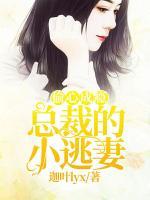偷心成癮：總裁的小逃妻