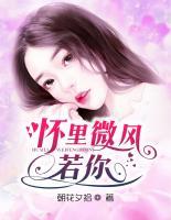 懷里微風若你