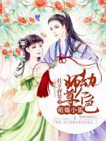 萌爆小狐：師尊劫個色