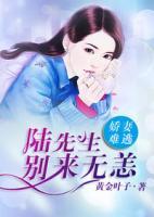 嬌妻難逃：陸先生，別來(lái)無(wú)恙