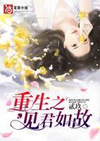重生之見君如故