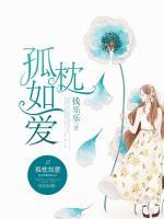孤枕如愛