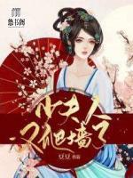 少夫人又爬墻了