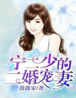 寧少的二婚寵妻