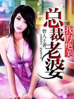 我的絕美總裁老婆