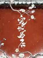 寵妃為后